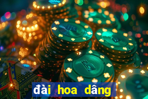 đài hoa dâng bác mp3