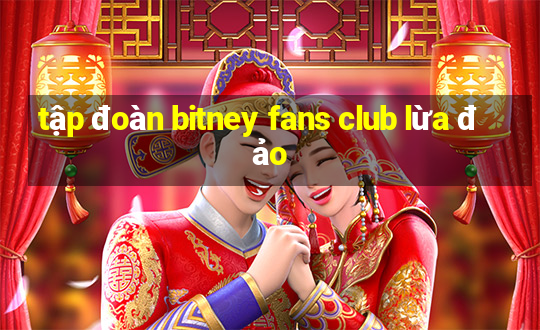 tập đoàn bitney fans club lừa đảo