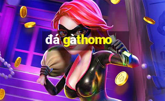 đá gà thomo