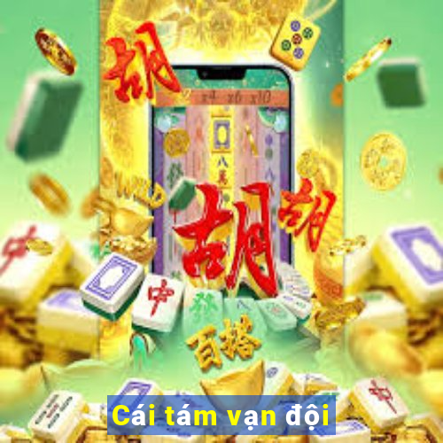 Cái tám vạn đội