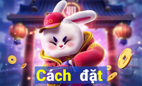 Cách đặt cược XSHP ngày 7