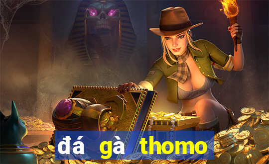 đá gà thomo hôm nay trận 21