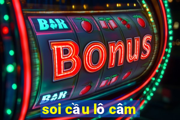 soi cầu lô câm