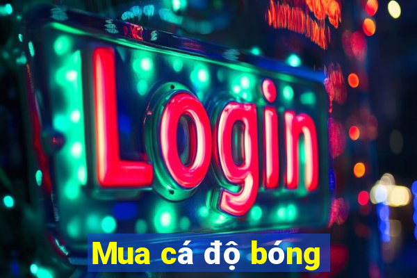 Mua cá độ bóng