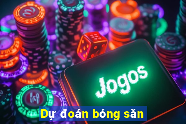 Dự đoán bóng săn