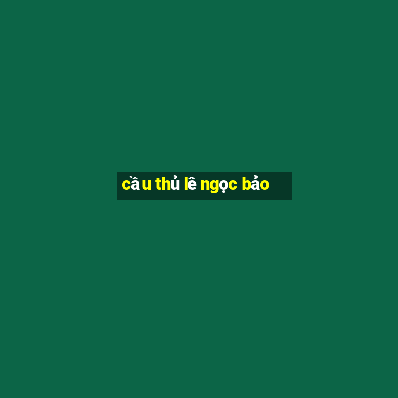 cầu thủ lê ngọc bảo