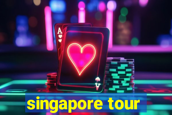 singapore tour