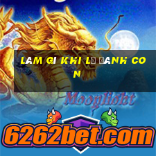 làm gì khi lỡ đánh con