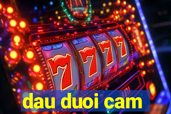 dau duoi cam