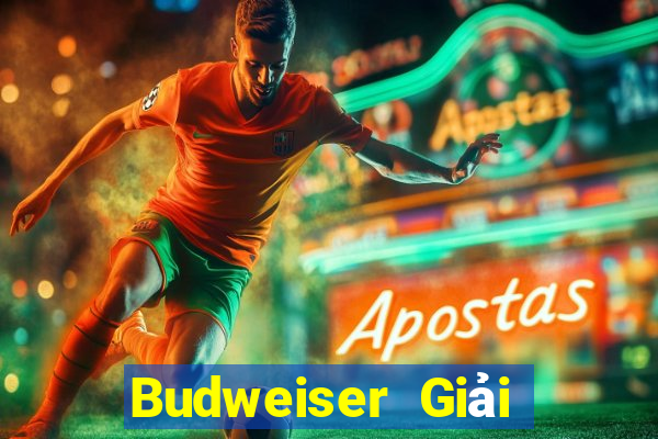 Budweiser Giải trí 2 Tải về