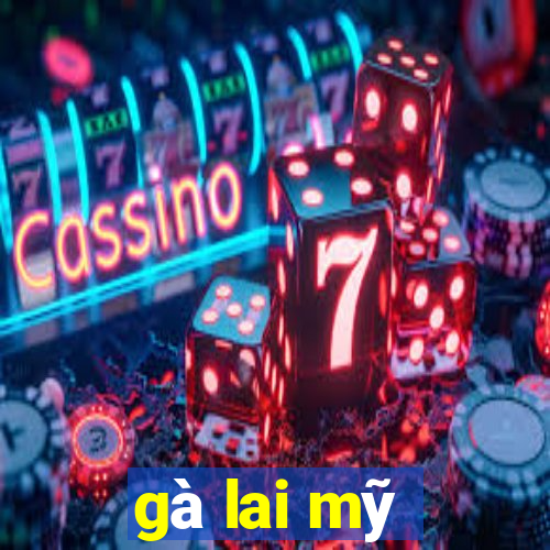 gà lai mỹ