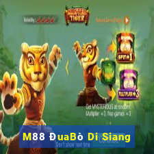 M88 ĐuaBò Di Siang