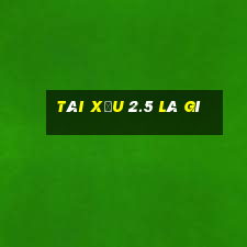 tài xỉu 2.5 là gì