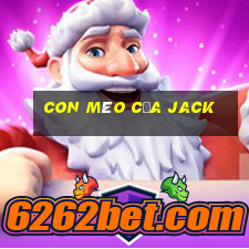 con mèo của jack