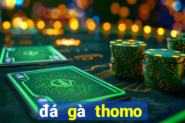 đá gà thomo ngày 31 tháng 7