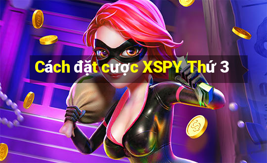 Cách đặt cược XSPY Thứ 3