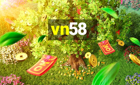 vn58