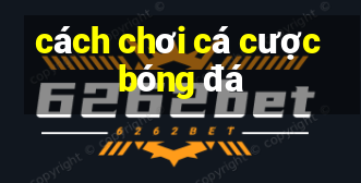 cách chơi cá cược bóng đá