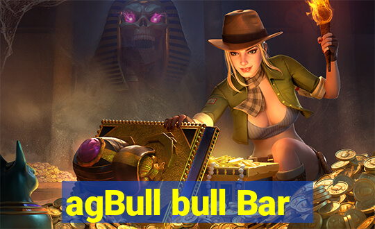 agBull bull Bar