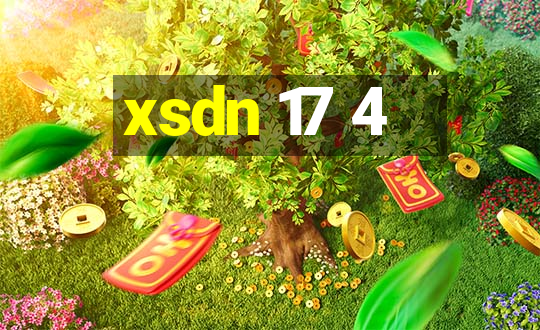 xsdn 17 4