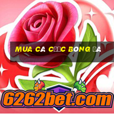 Mua cá cược bóng đá