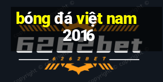 bóng đá việt nam 2016