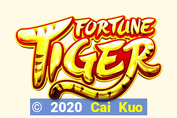 © 2020 Cai Kuo Bao Dien 2020