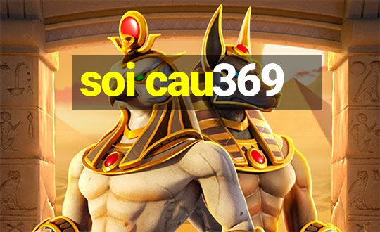 soi cau369