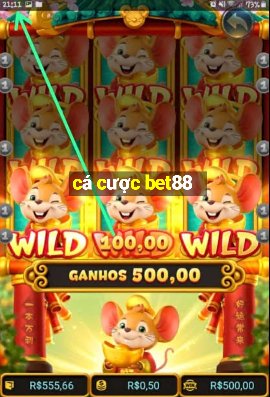 cá cược bet88