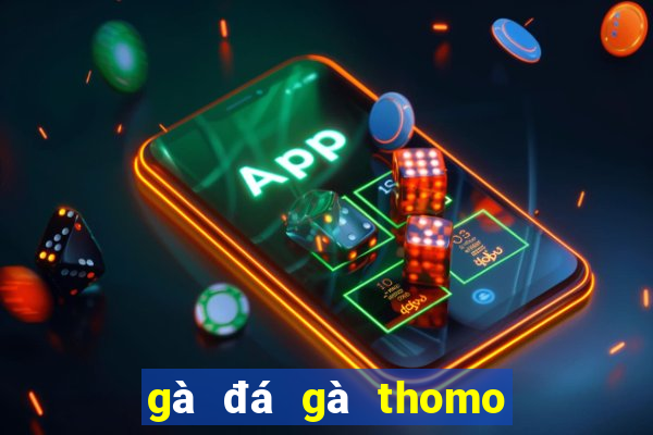 gà đá gà thomo trực tiếp