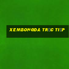 xembongda trực tiếp