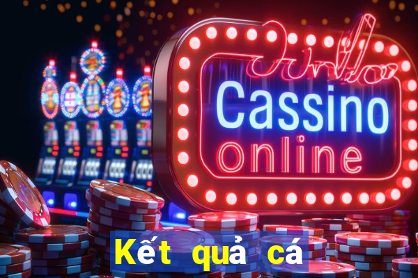 Kết quả cá cược bóng rổ