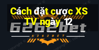 Cách đặt cược XSTV ngày 12