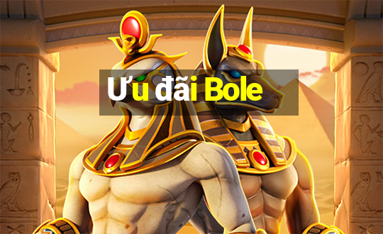 Ưu đãi Bole