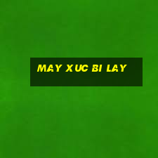 may xuc bi lay