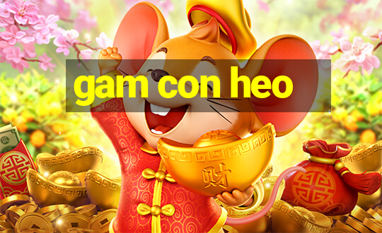 gam con heo