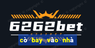 cò bay vào nhà là điềm gì