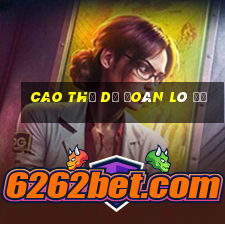 cao thủ dự đoán lô đề