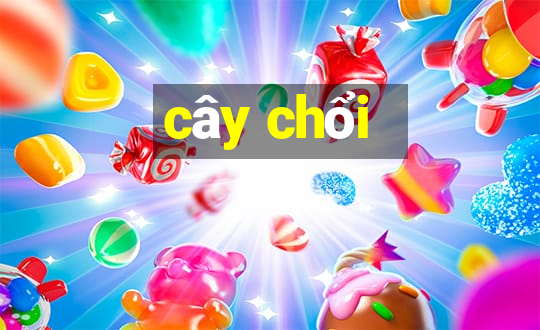 cây chổi