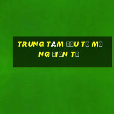 Trung tâm đầu tư mạng điện tử