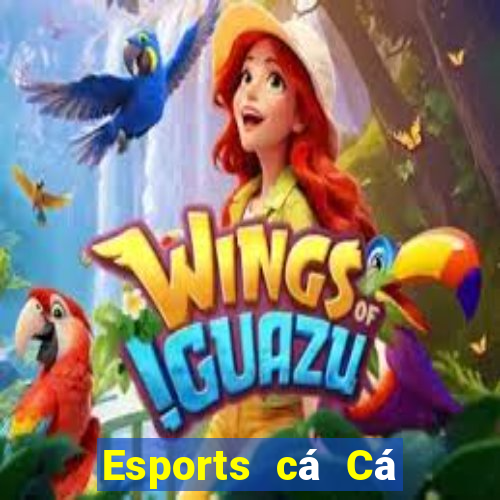 Esports cá Cá cược nước ngoài Fun88 đó là tốt nhất