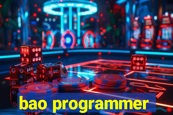 bao programmer