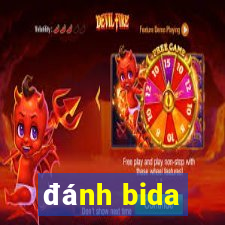 đánh bida