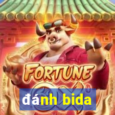 đánh bida