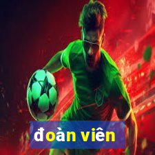 đoàn viên