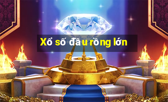 Xổ số đầu rồng lớn