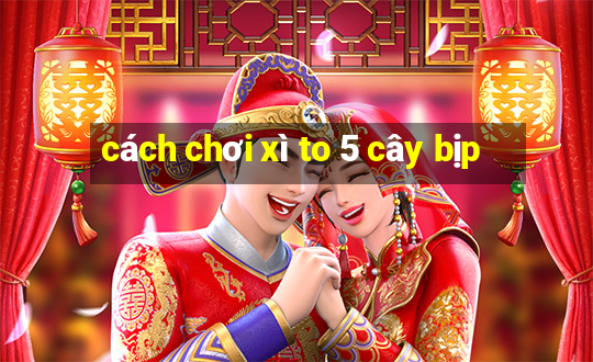 cách chơi xì to 5 cây bịp