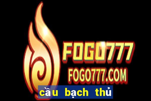 cầu bạch thủ tiền giang