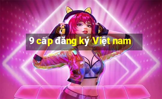 9 cấp đăng ký Việt nam