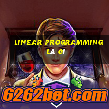 linear programming là gì